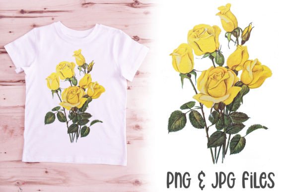 Download Yellow Vintage Rose Illustration PNG - Rose illustration png Collection